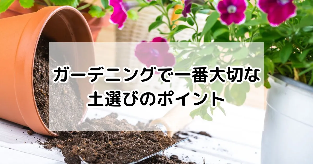 土選びのポイント