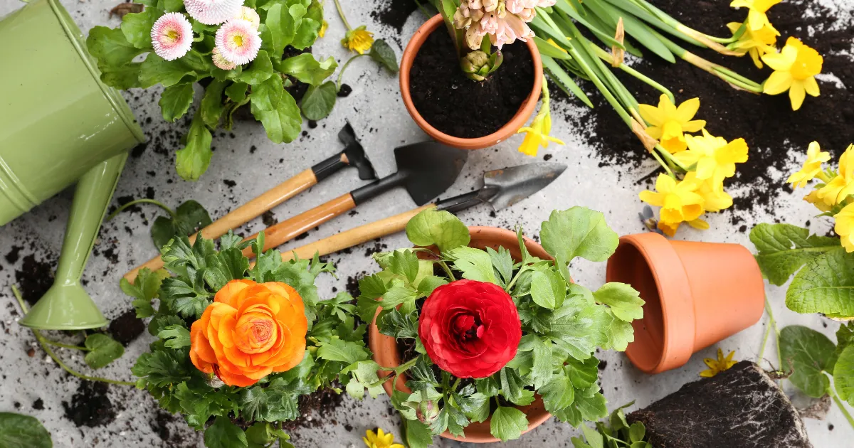 植物を植え付ける時に気を付けるポイント