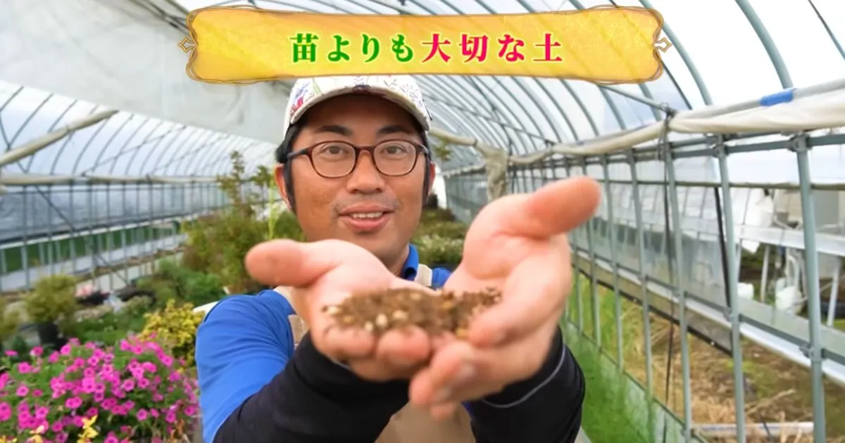 土選びのポイント