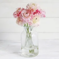 ラナンキュラスラックスの積雪後の対策