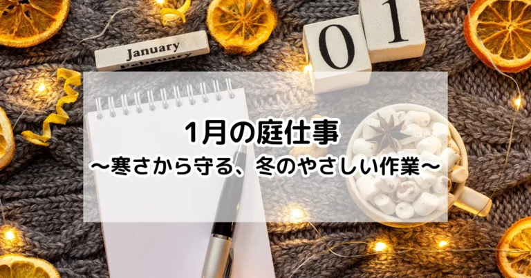 1月の庭仕事