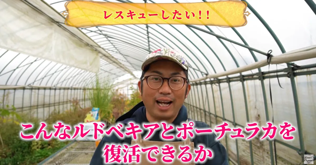 復活チャレンジ