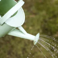 水やり（じょうろ）