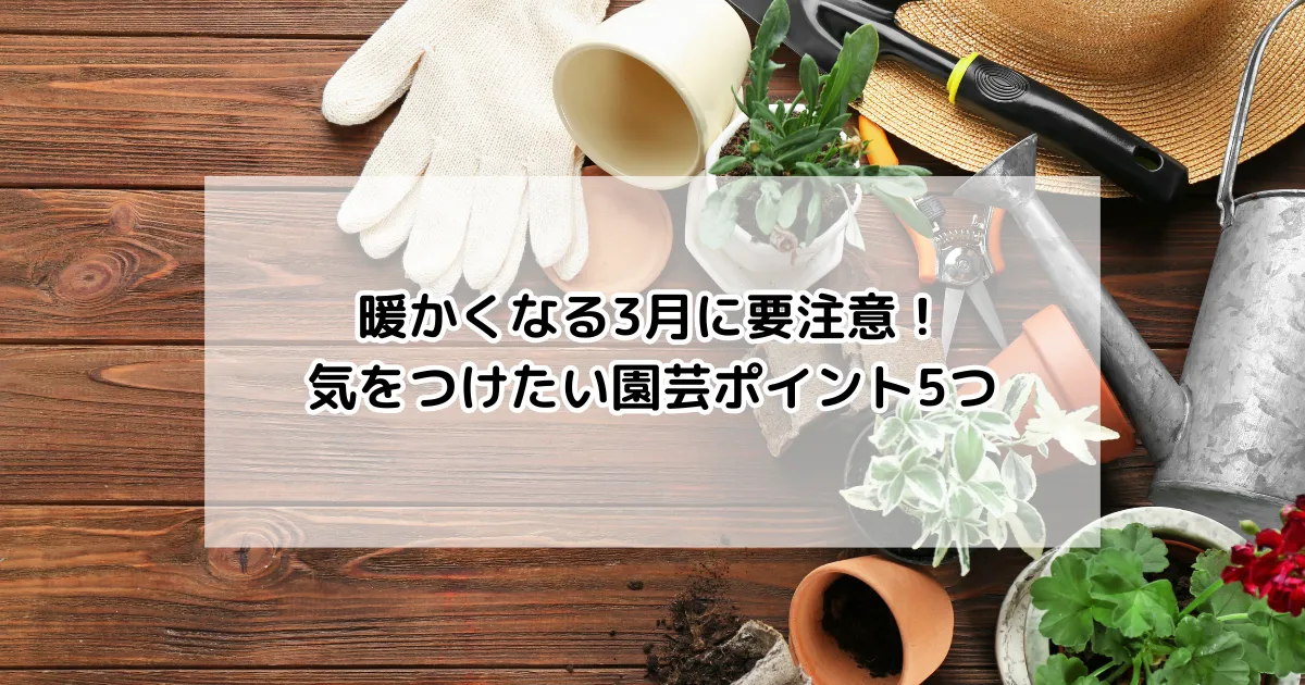 暖かくなる3月に要注意！気をつけたい園芸ポイント5つ