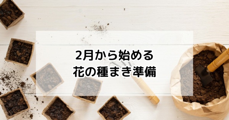 花の種まき準備