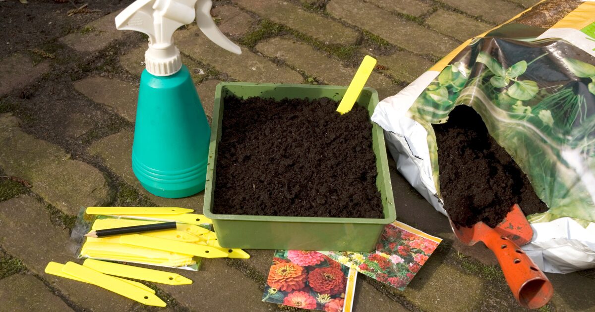 花の種まき準備