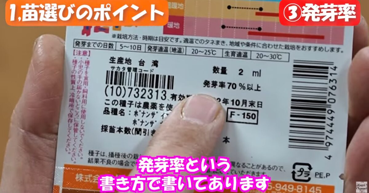 花の種まき準備