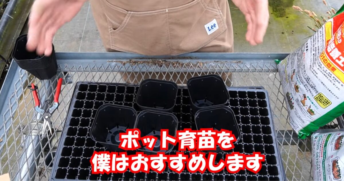 花の種まき準備