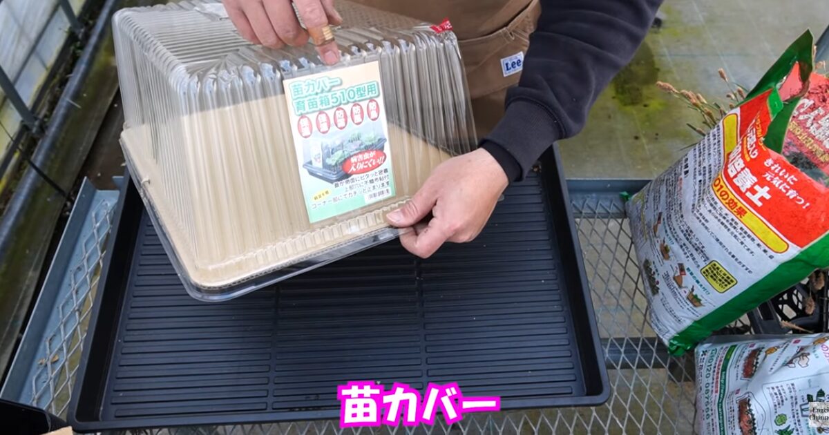 花の種まき準備