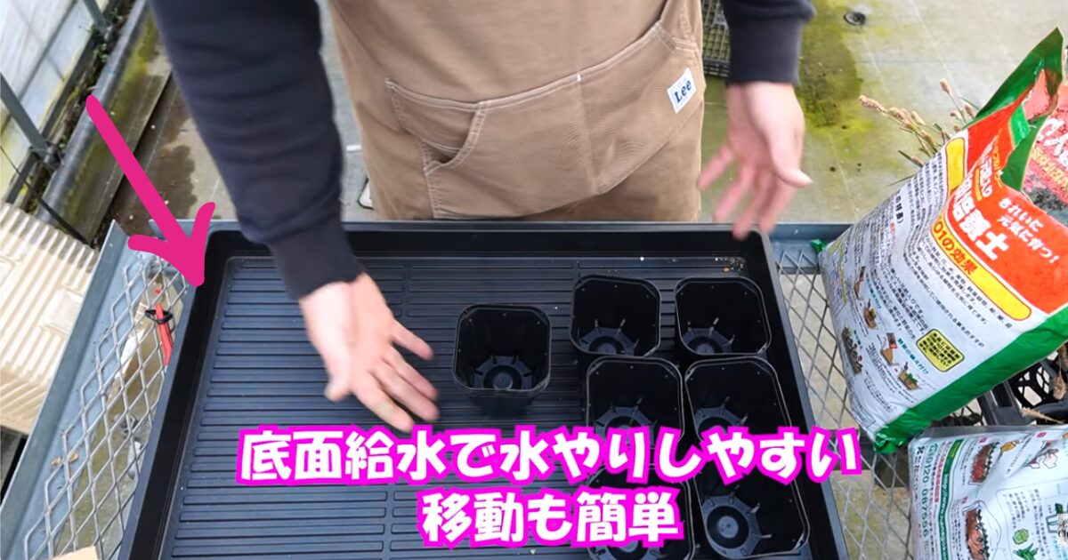 花の種まき準備