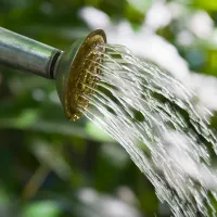 ジョウロ（ハス口）