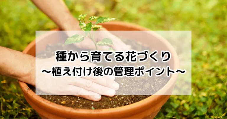植え付け後の管理
