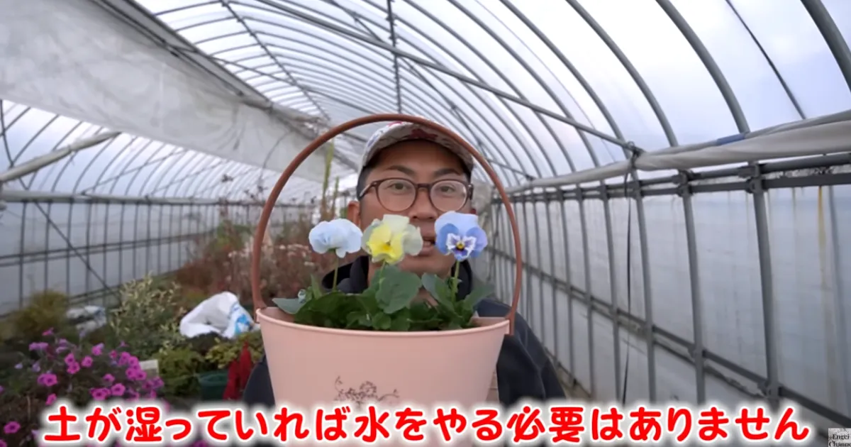 植え付け後の管理