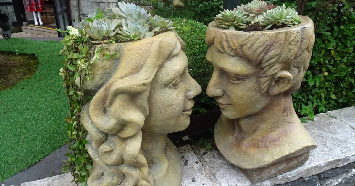 多肉植物のある風景