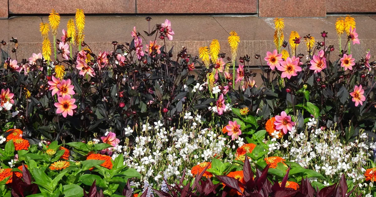 花のある風景　フィンランド