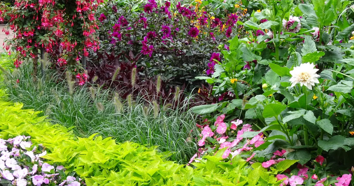 花のある風景　フィンランド