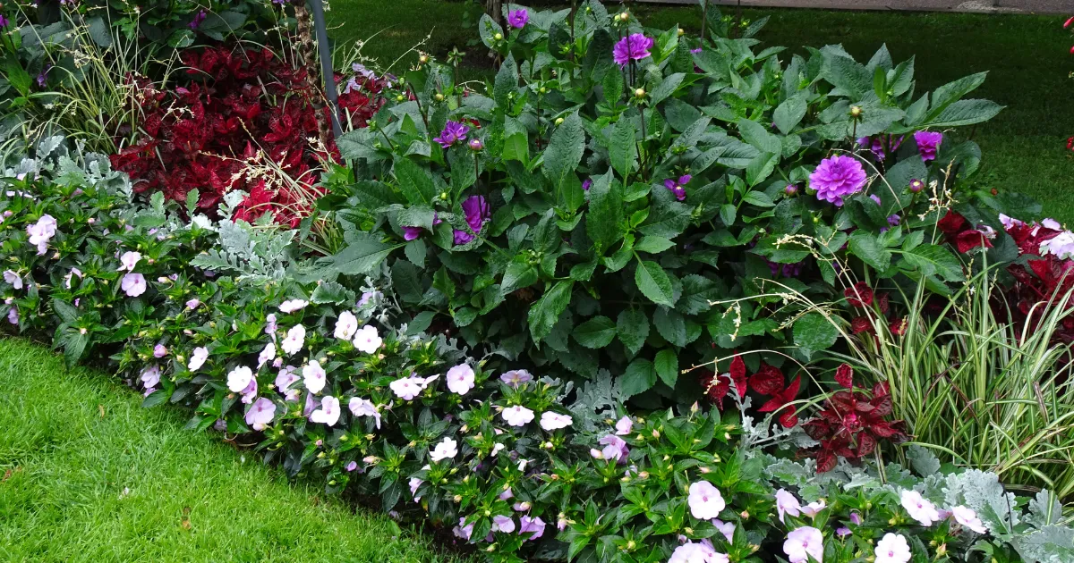 花のある風景　フィンランド