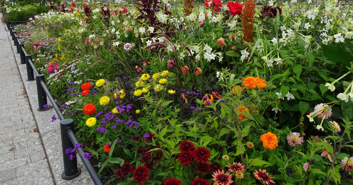 花のある風景　フィンランド