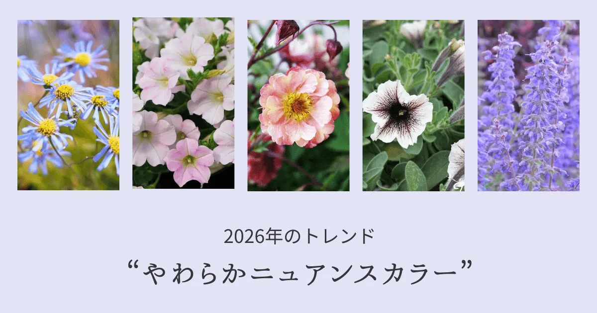 失敗しにくい！強くて長く楽しめる春夏ガーデン2026-トレンドカラー　ニュアンスカラー