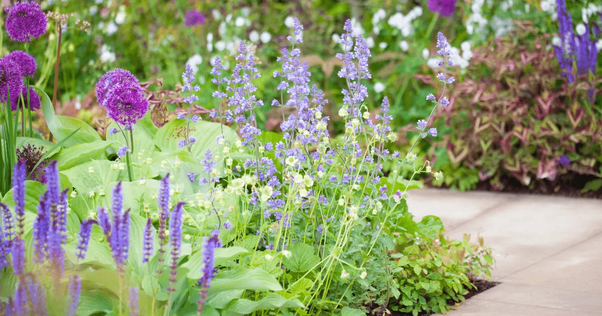 失敗しにくい！強くて長く楽しめる春夏ガーデン2026-花壇イメージ