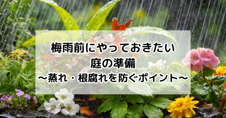 梅雨前にやっておきたい庭の準備