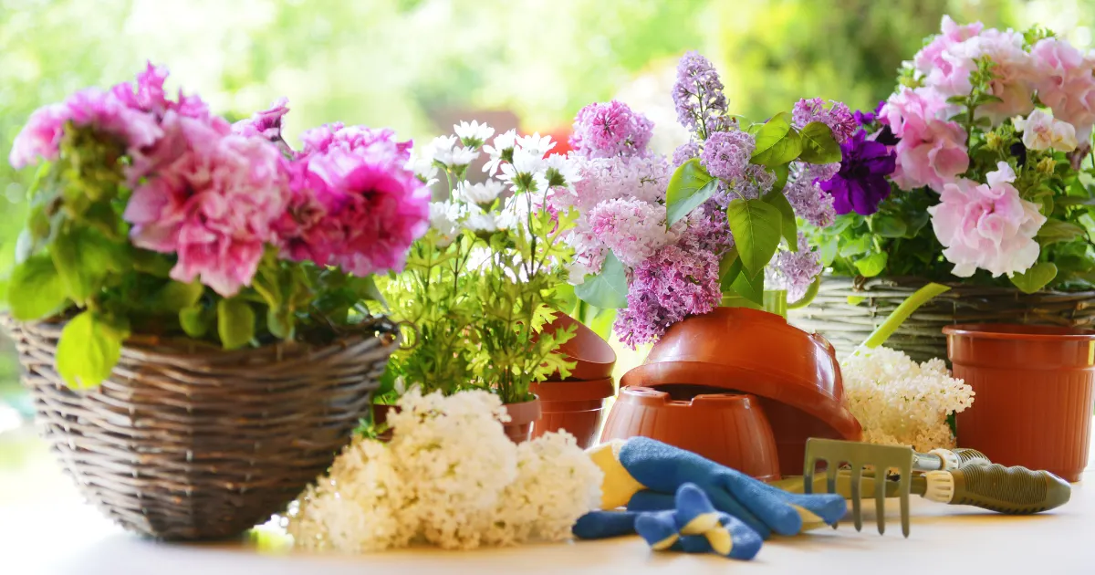 初夏の寄せ植え～爽やかに見せる配色のコツ～
