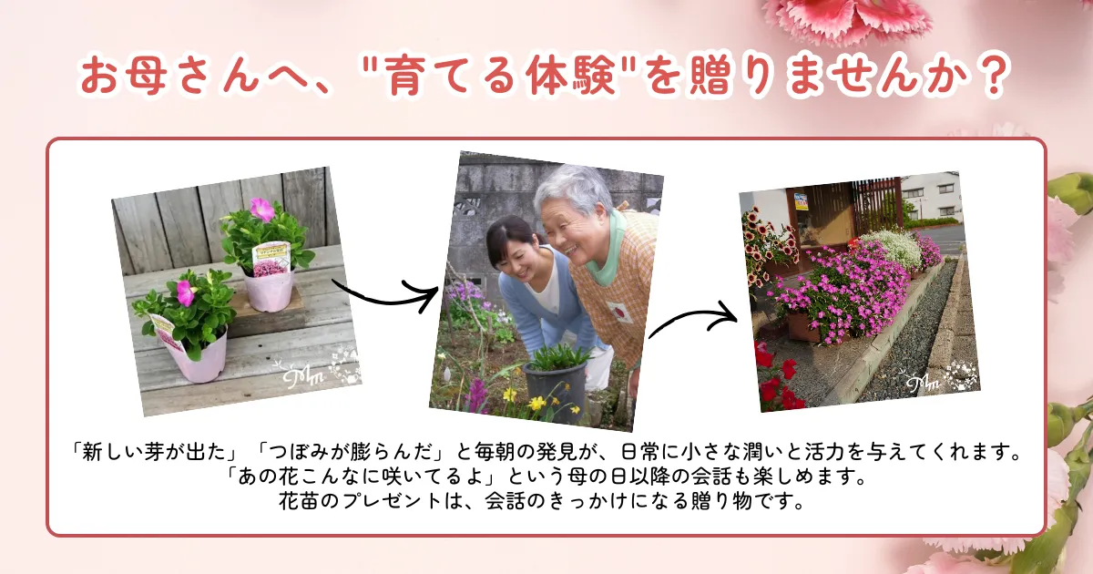 母の日フラワーキャンペーン