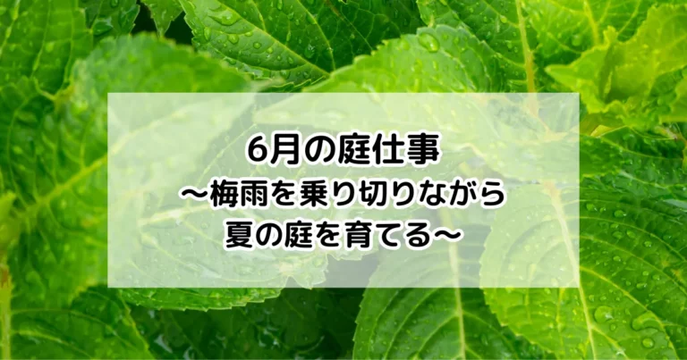 6月の庭仕事　サムネイル