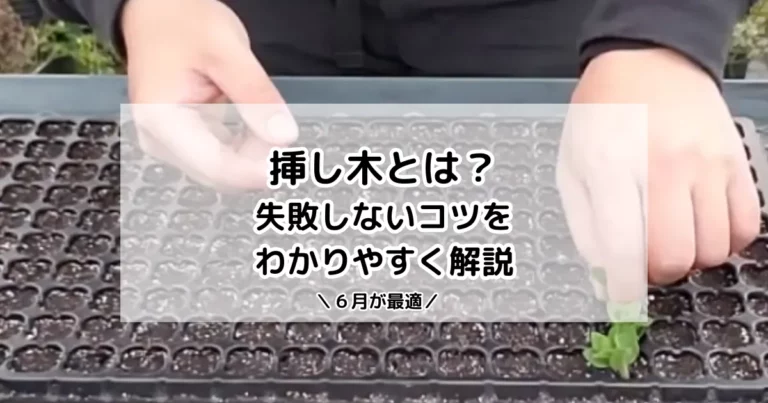 挿し木とは
