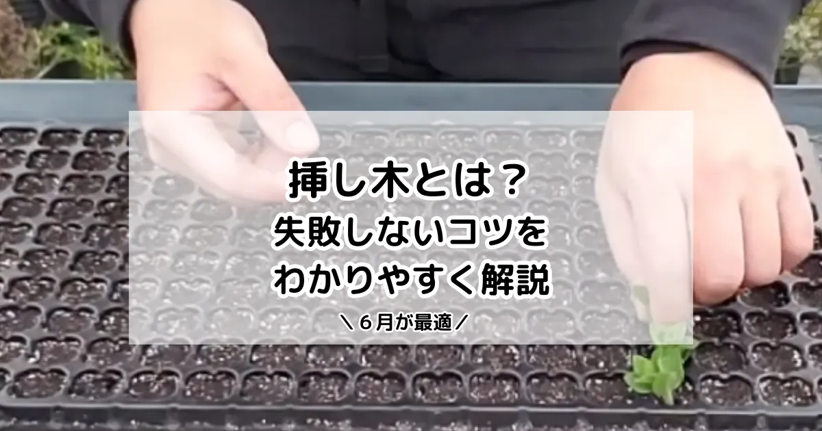 挿し木とは