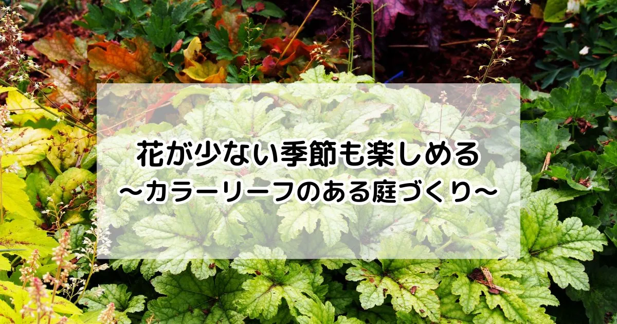 花が少ない季節も楽しめる～カラーリーフのある庭づくり～