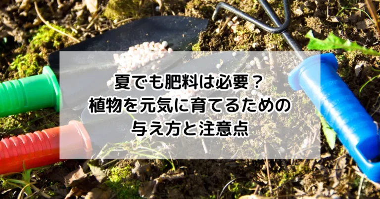 夏でも肥料は必要？植物を元気に育てるための与え方と注意点