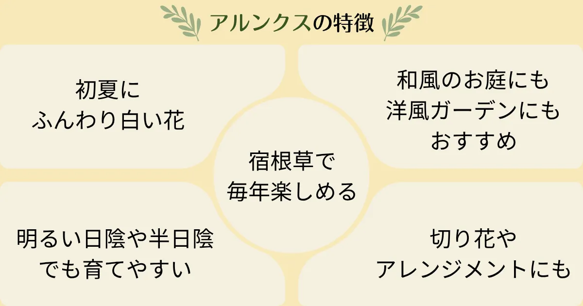 アルンクスの育て方