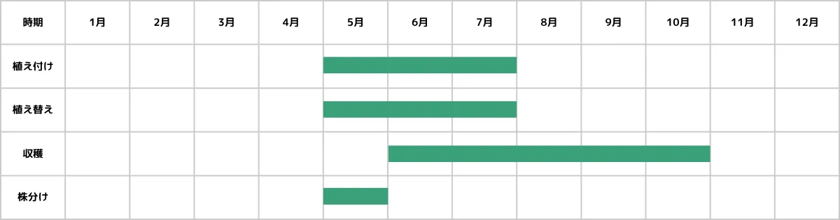 レモングラスの育て方