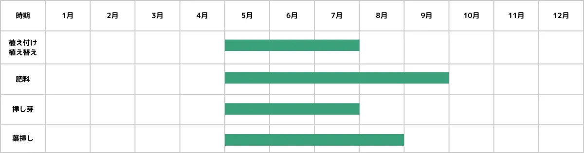 ペペロミアの栽培カレンダー