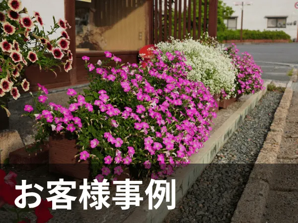 お客様事例