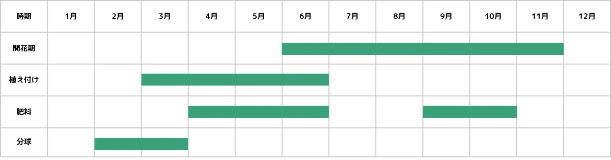 ダリアの育て方