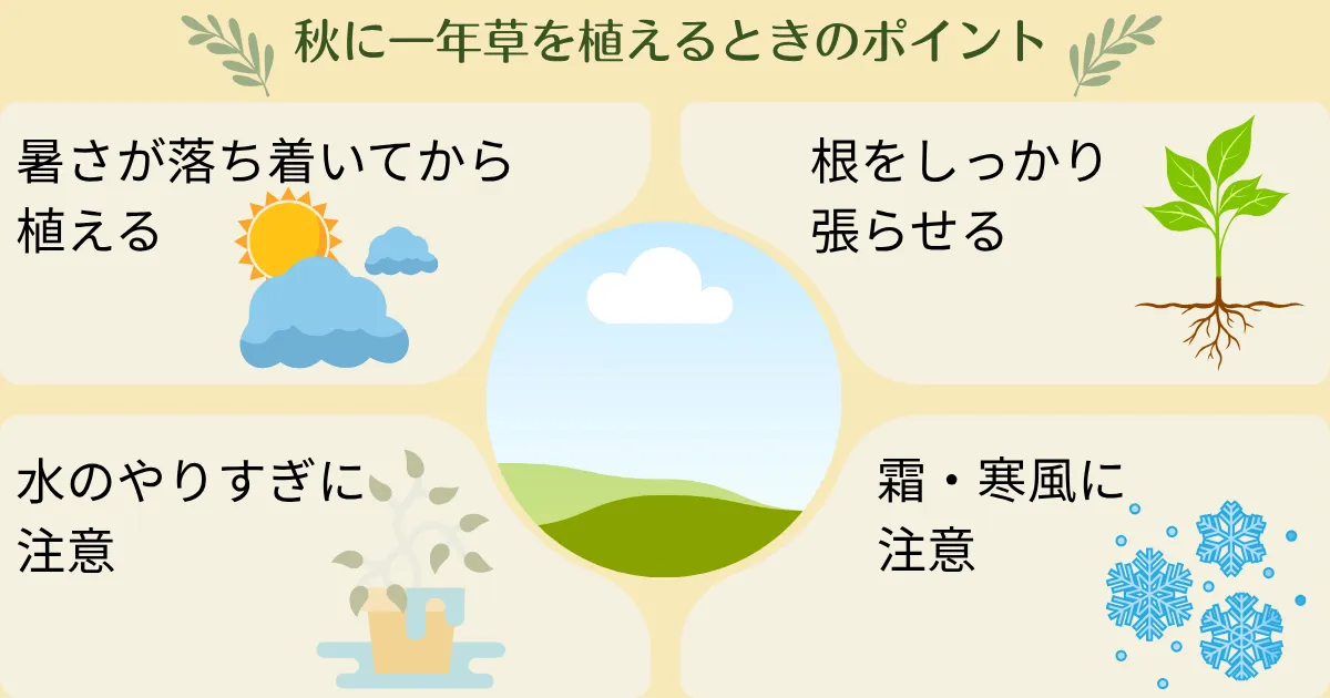 秋に植えて、春まで楽しむ！秋植えがおすすめの一年草