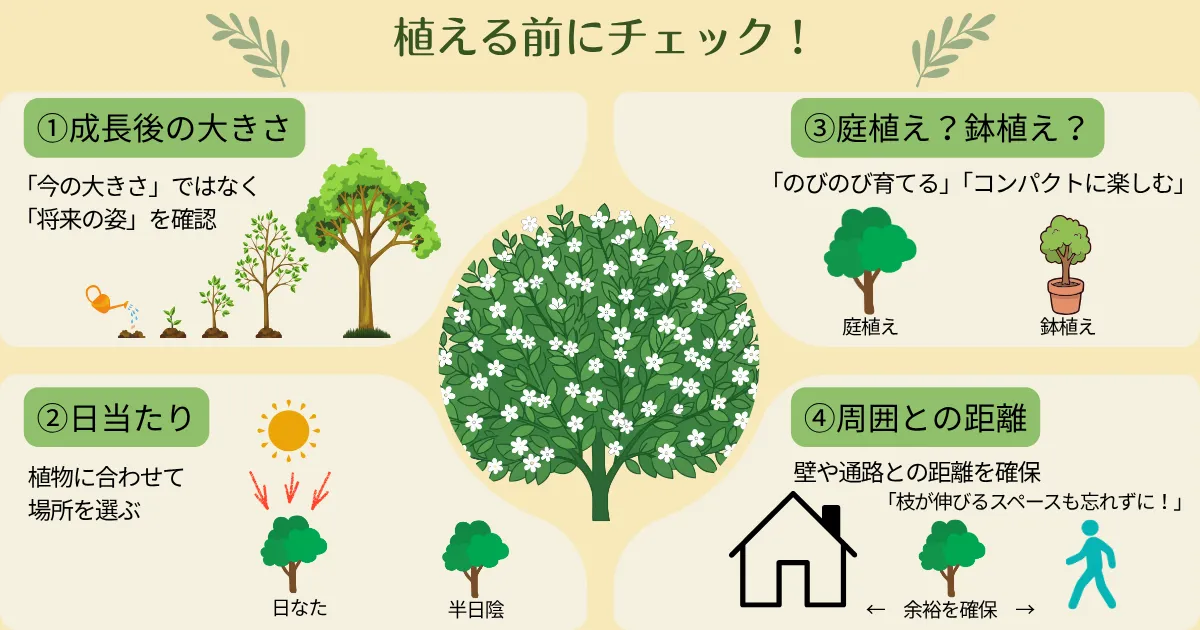 秋も植え付けできる花木