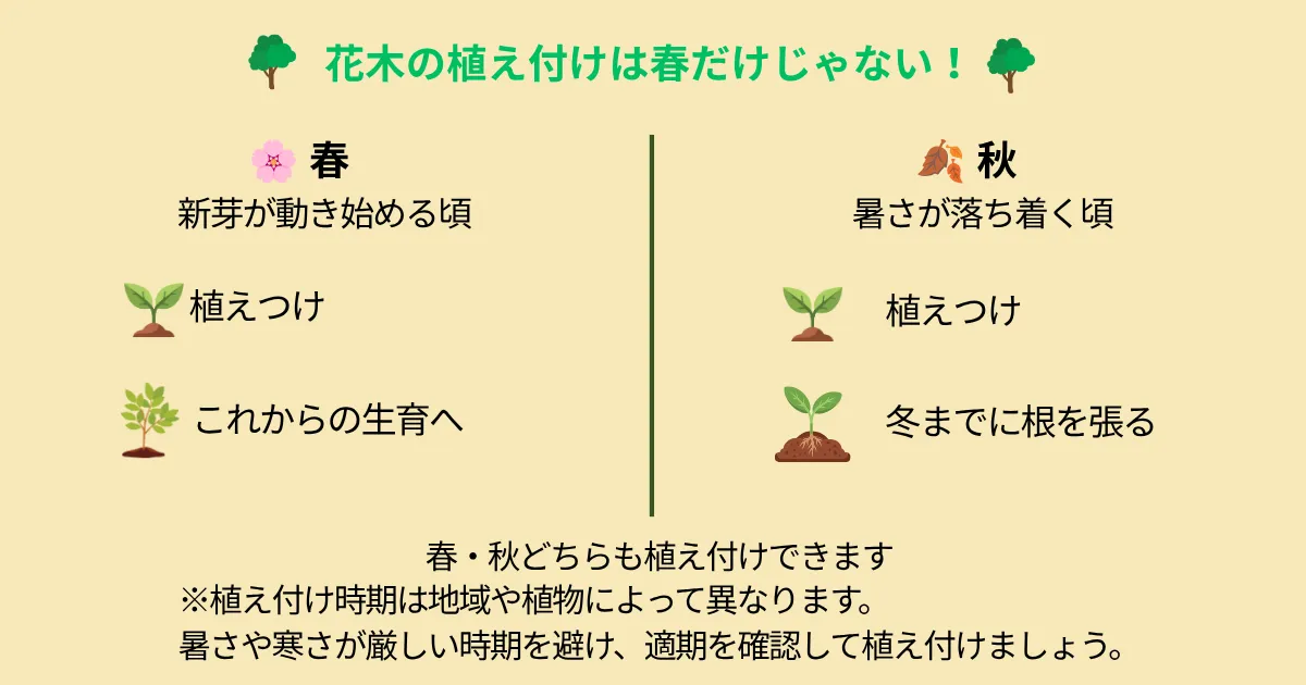 秋も植え付けできる花木