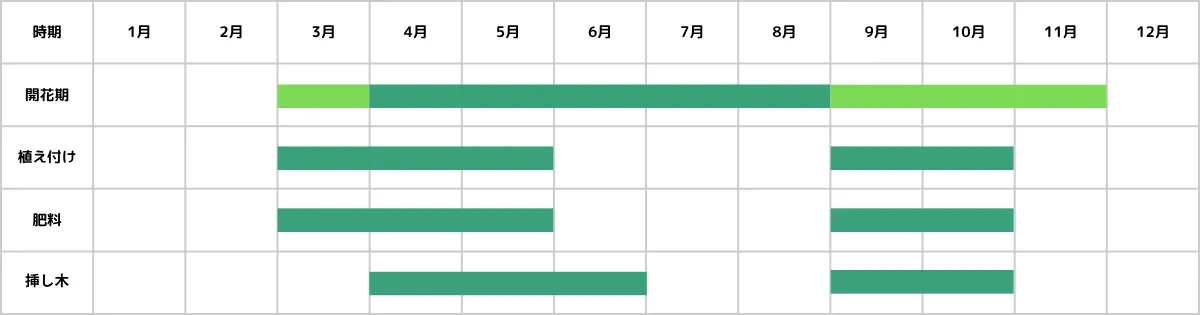 ダイアンサス(ナデシコ)の育て方