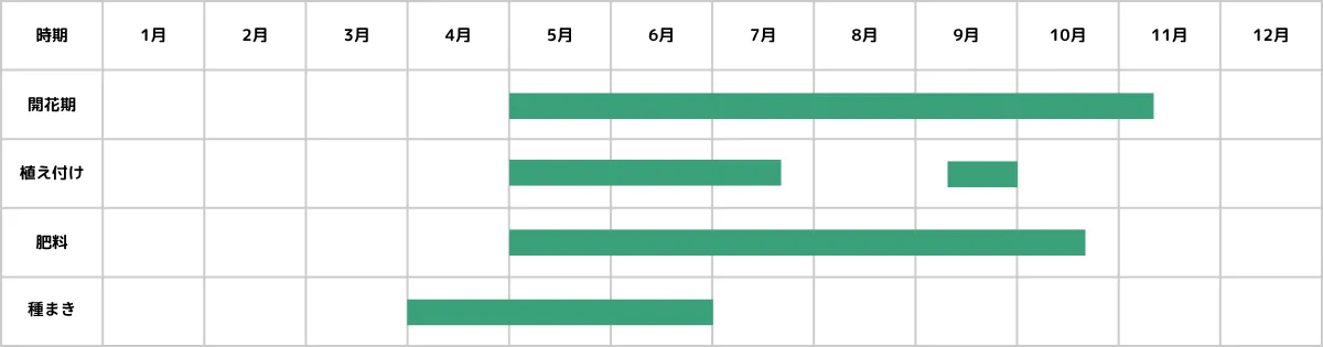 ジニアの育て方