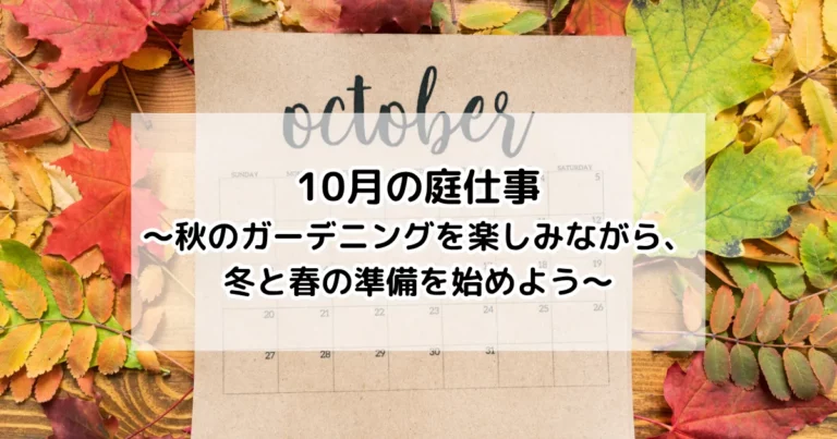 10月の庭仕事～秋のガーデニングを楽しみながら、冬と春の準備を始めよう～
