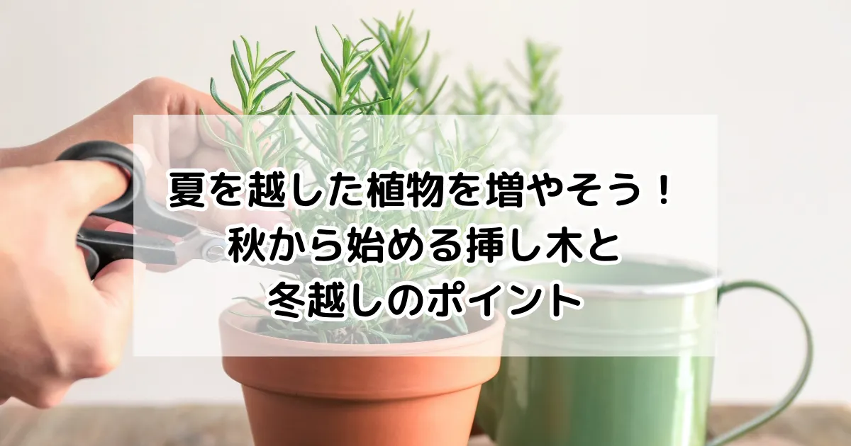 夏を越した植物を増やそう！秋から始める挿し木と冬越しのポイント
