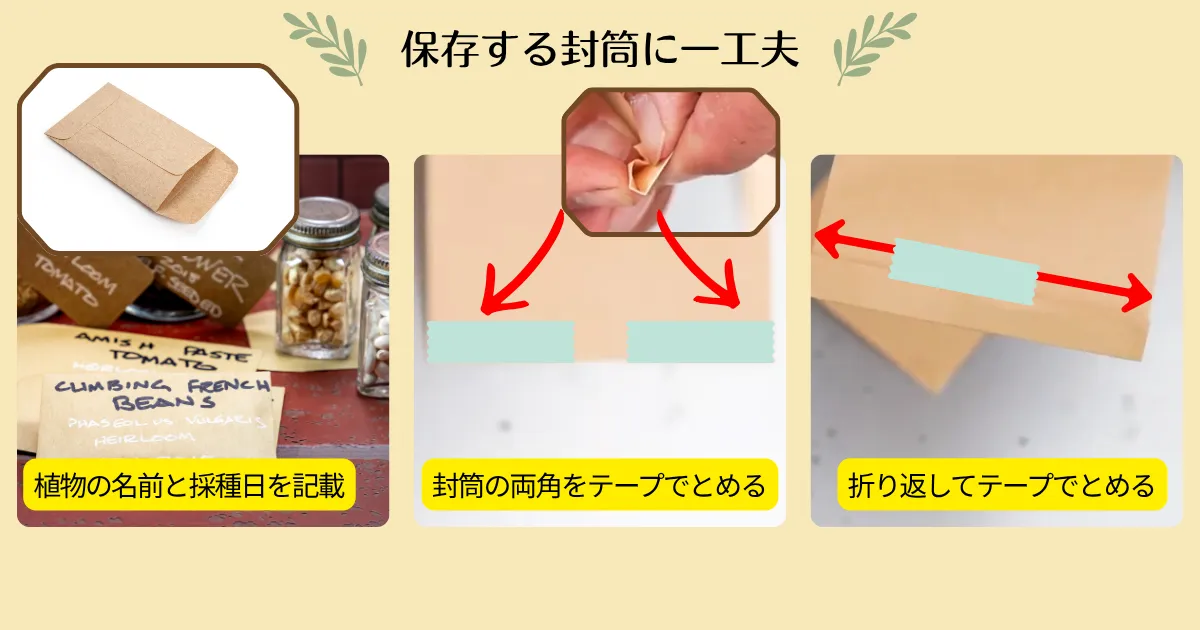 秋は種取りの季節!ケイトウとキキョウの種の取り方・保存方法