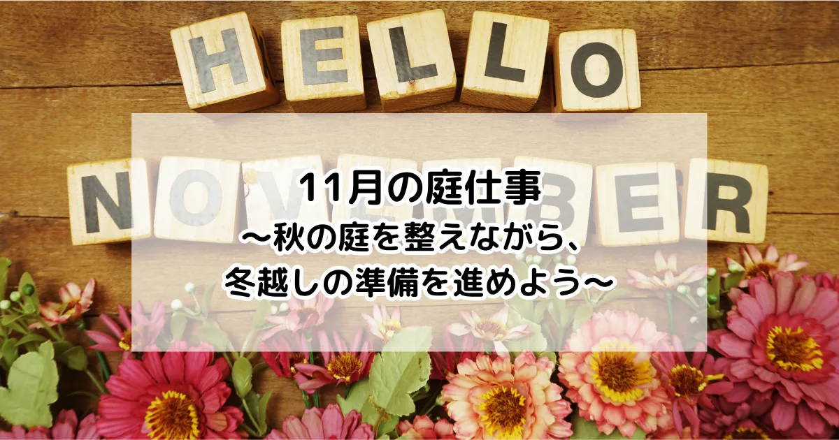 11月の庭仕事～秋の庭を整えながら、冬越しの準備を進めよう～